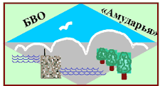 Basin Water Organization "Amudarya"